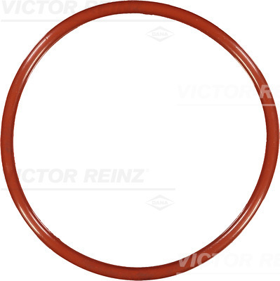 SEAL RING - V.REINZ