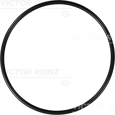 SEAL RING - V.REINZ