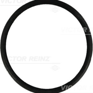 SEAL RING - V.REINZ