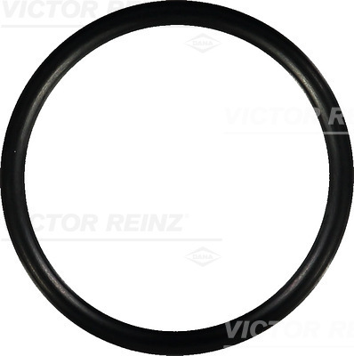 SEAL RING - V.REINZ