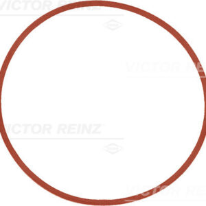 SEAL RING - V.REINZ