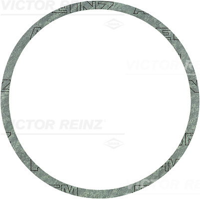 RING 90X99X0.3 - V.REINZ