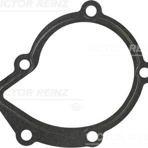 GASKET. WATER PUMP - V.REINZ