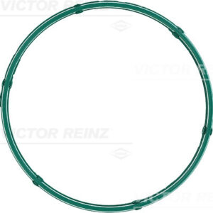 GASKET. INTAKE PIPE SOCKET - V.REINZ