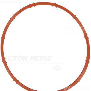 GASKET / SEAL - V.REINZ