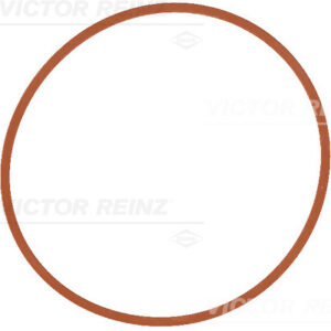 GASKET. INTAKE MANIFOLD - V.REINZ