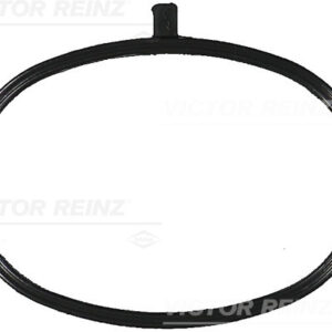 GASKET / SEAL - V.REINZ