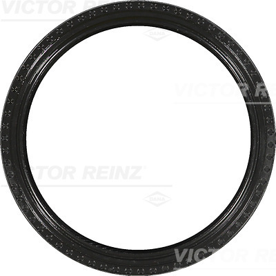 SHAFT OIL SEAL - V.REINZ