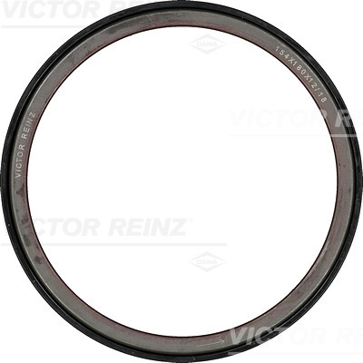 RADIAL OIL SEAL. CRANKSHAFT - V.REINZ