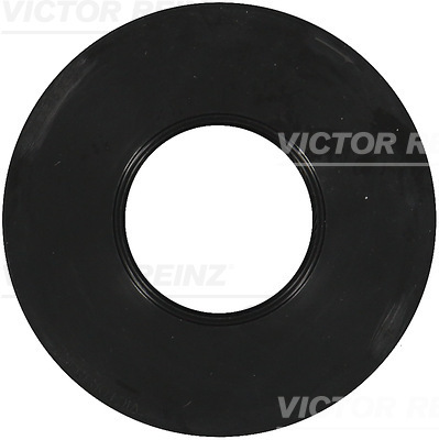 SHAFT OIL SEAL - V.REINZ