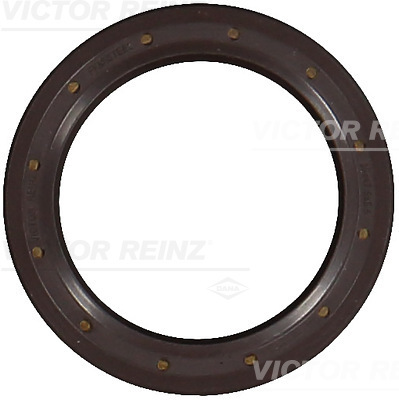 RADIAL OIL SEAL. CRANKSHAFT - V.REINZ