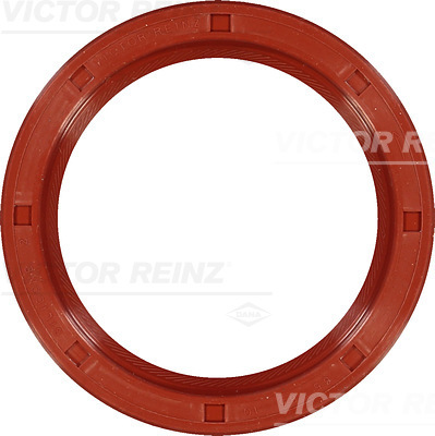 SHAFT OIL SEAL - V.REINZ