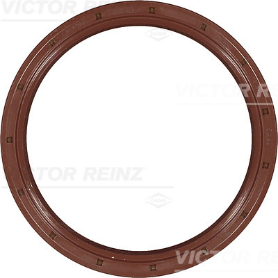 SHAFT OIL SEAL - V.REINZ