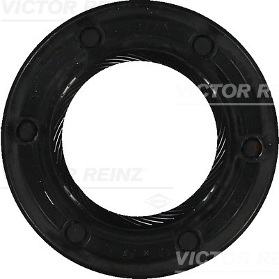 SHAFT OIL SEAL - V.REINZ