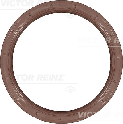 SHAFT OIL SEAL - V.REINZ