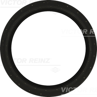 SHAFT OIL SEAL - V.REINZ