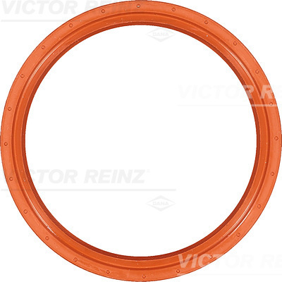 SHAFT OIL SEAL - V.REINZ