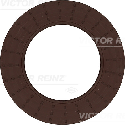 SHAFT OIL SEAL - V.REINZ