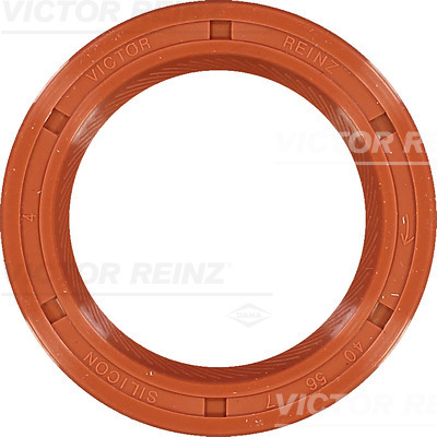 SHAFT OIL SEAL - V.REINZ