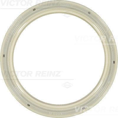 SHAFT OIL SEAL - V.REINZ