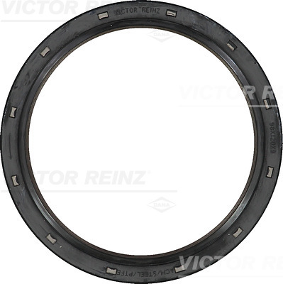 SHAFT OIL SEAL - V.REINZ