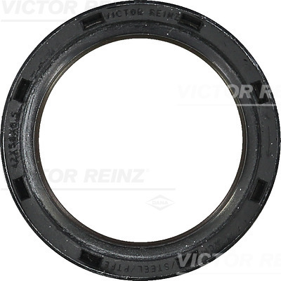 SHAFT OIL SEAL - V.REINZ