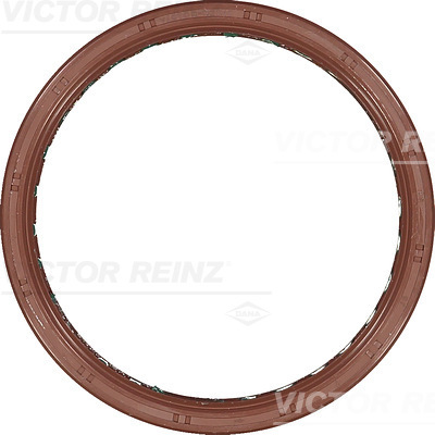 SHAFT OIL SEAL - V.REINZ