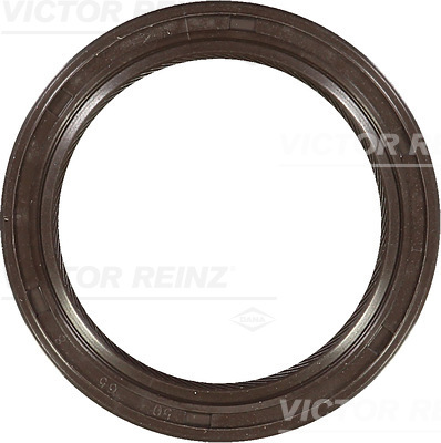 SHAFT OIL SEAL - V.REINZ