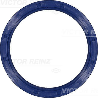 SHAFT OIL SEAL - V.REINZ