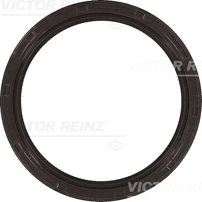 SHAFT OIL SEAL - V.REINZ