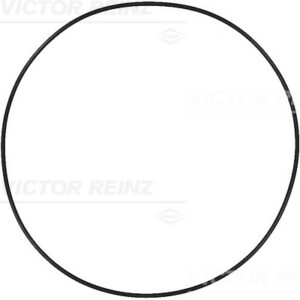 SEAL RING MAN - V.REINZ